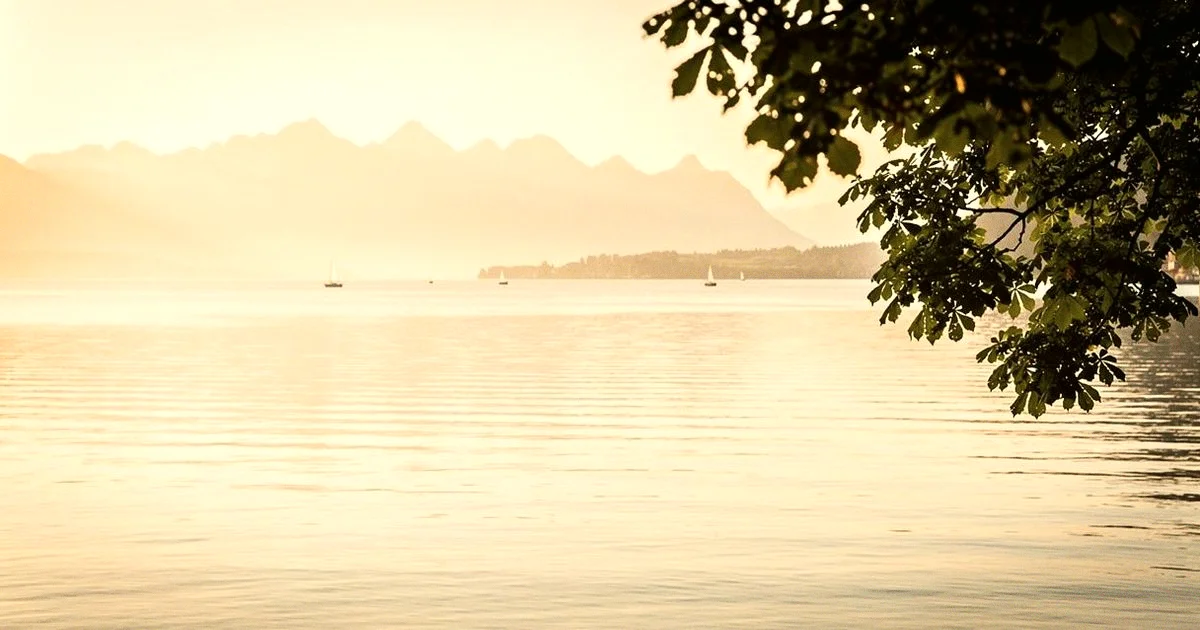 Der Bodensee im warmen Abendlicht, im Hintergrund die Berge